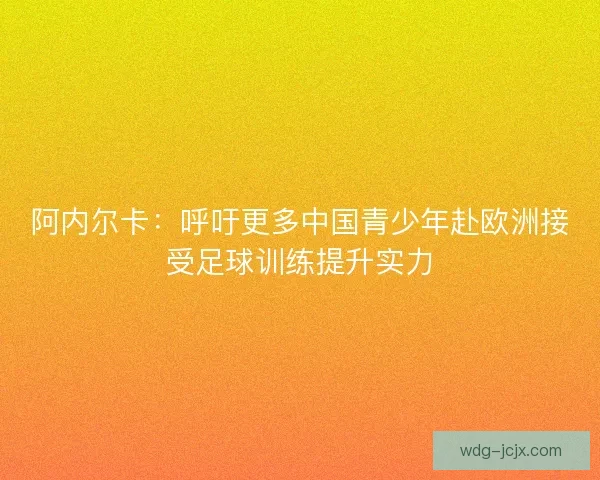 阿内尔卡：呼吁更多中国青少年赴欧洲接受足球训练提升实力
