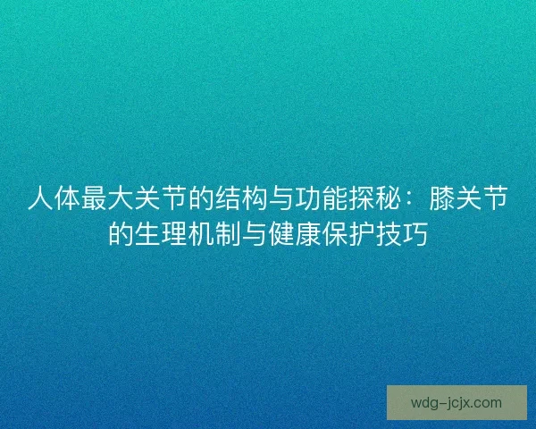 人体最大关节的结构与功能探秘：膝关节的生理机制与健康保护技巧